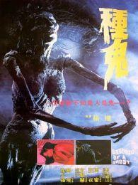 种鬼电影在线观看,惊悚悬疑，探寻生死轮回之谜